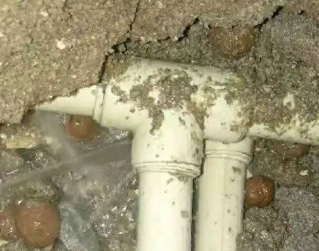 雁塔测漏水多少钱