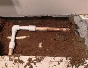 雁塔测漏水哪家好