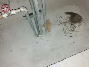 雁塔卫生间测漏水价格明细