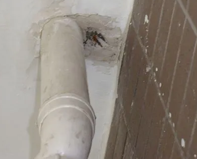 雁塔漏水检测哪家好